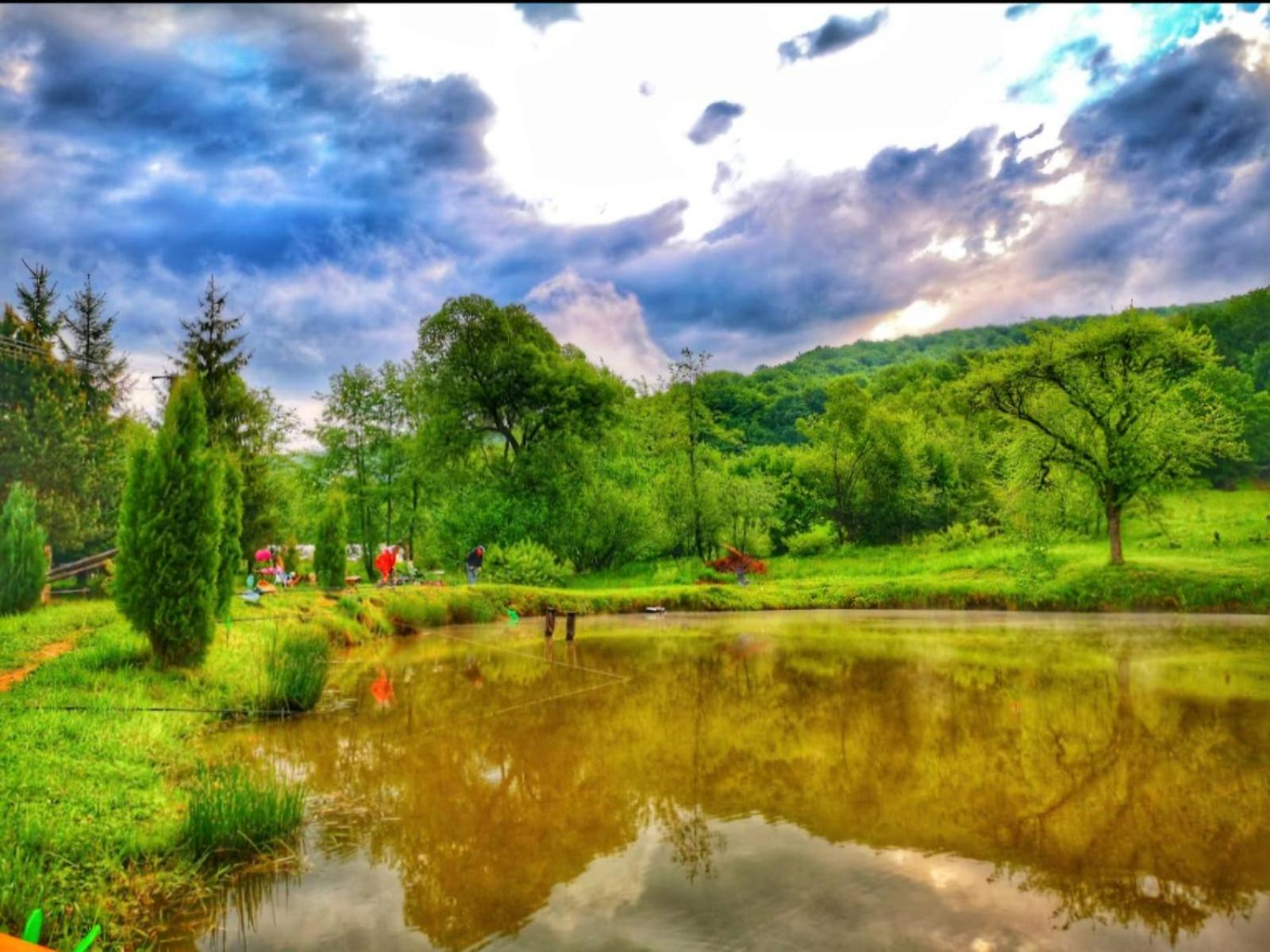Pensiunea Cerbul - Valea Dobarlaului Exterior foto