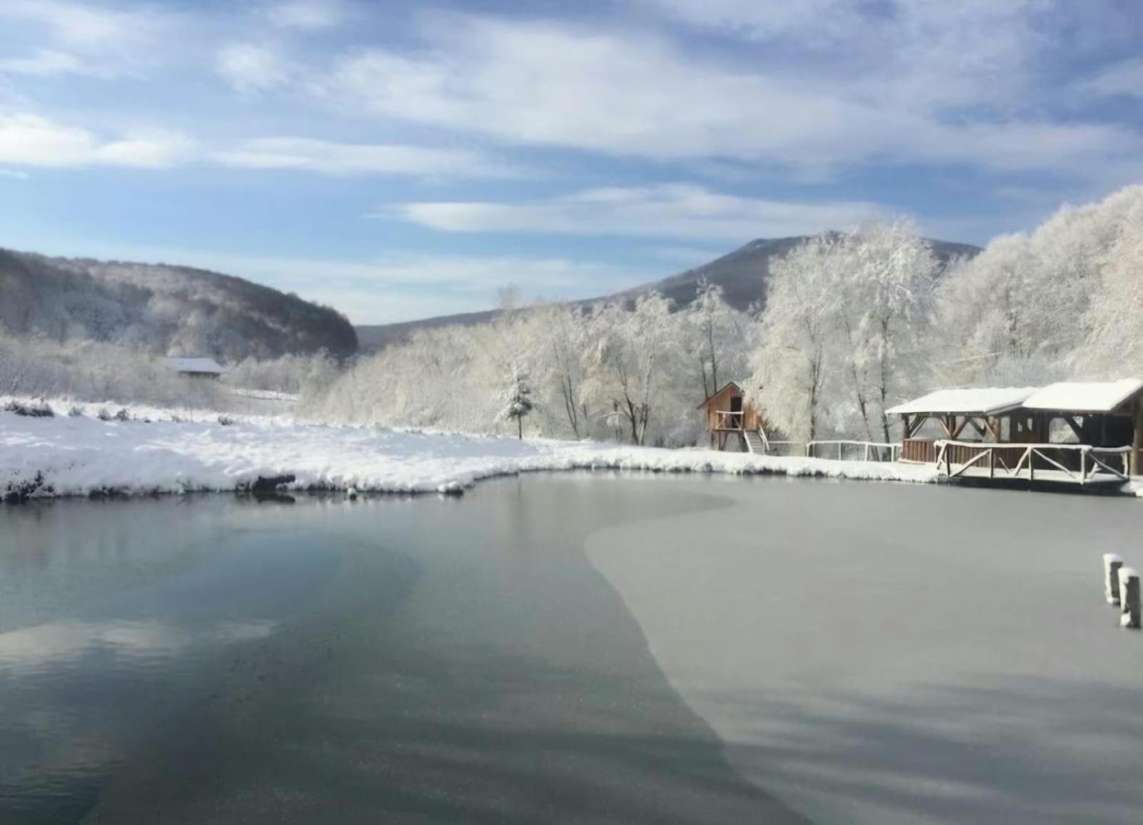Pensiunea Cerbul - Valea Dobarlaului Exterior foto